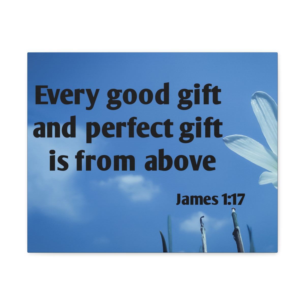 Scripture Canvas Perfect Gift James 1:17 Christian Wall Art Bible Verse Print Ready to Hang-Express Your Love Gifts