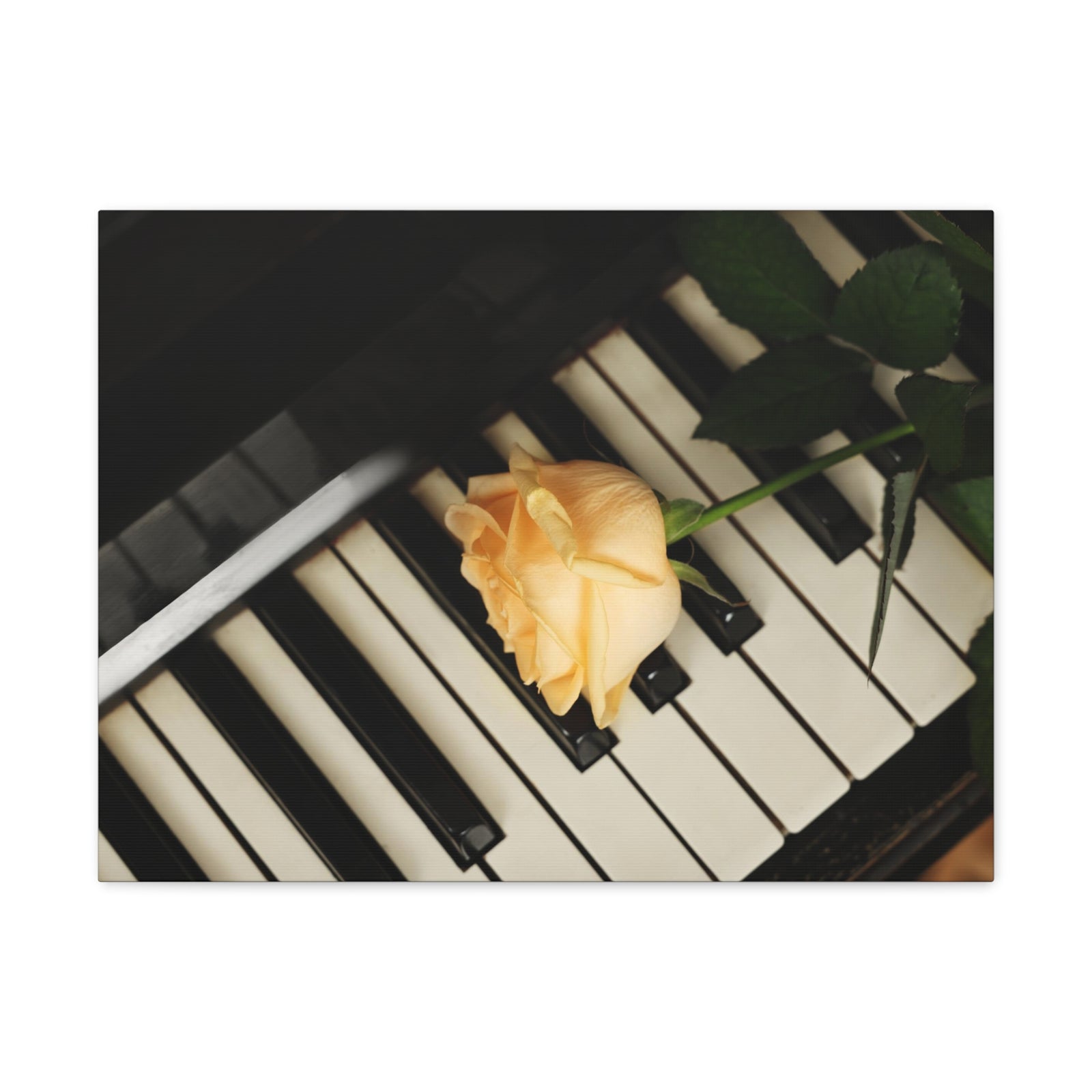 Piano Rose Music Lover's Delight Piano Keyboard Canvas Wall Art for Home Decor Ready-to-Hang-Express Your Love Gifts
