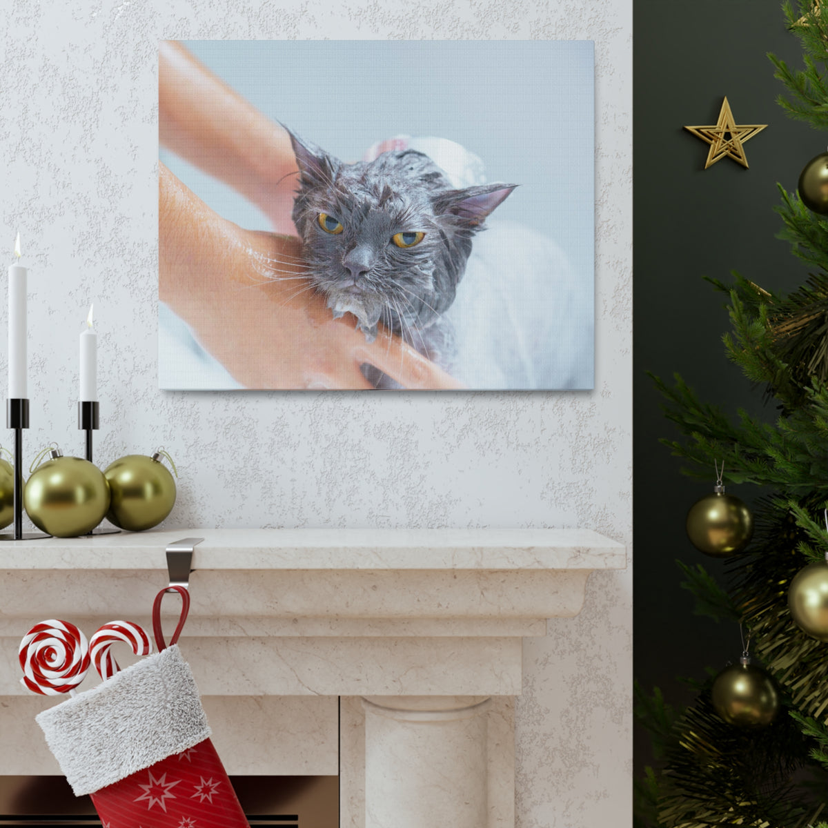 Cute Persian Cat Bath Canvas Wall Art for Home Decor Ready-to-Hang-Express Your Love Gifts