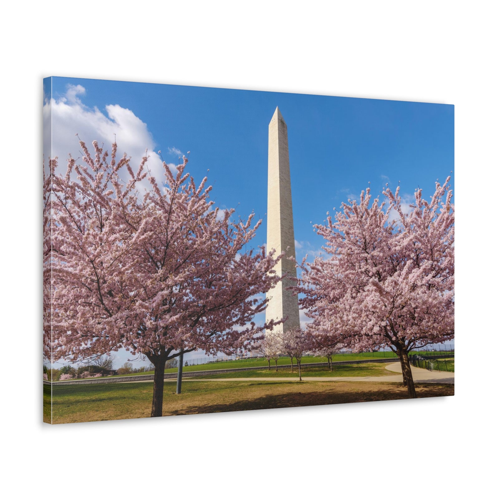 Mall Washington Blossom Festival Nature Wilderness Photography Canvas Wall Art for Home Decor Ready-to-Hang-Express Your Love Gifts