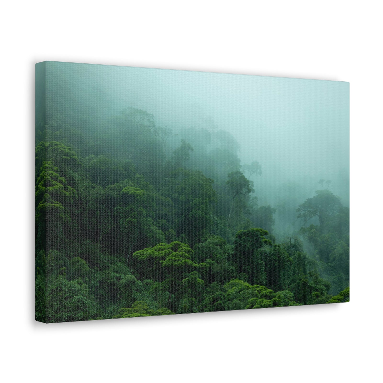 Dark Misty Forest Nature Wilderness Photography Canvas Wall Art for Home Decor Ready-to-Hang-Express Your Love Gifts