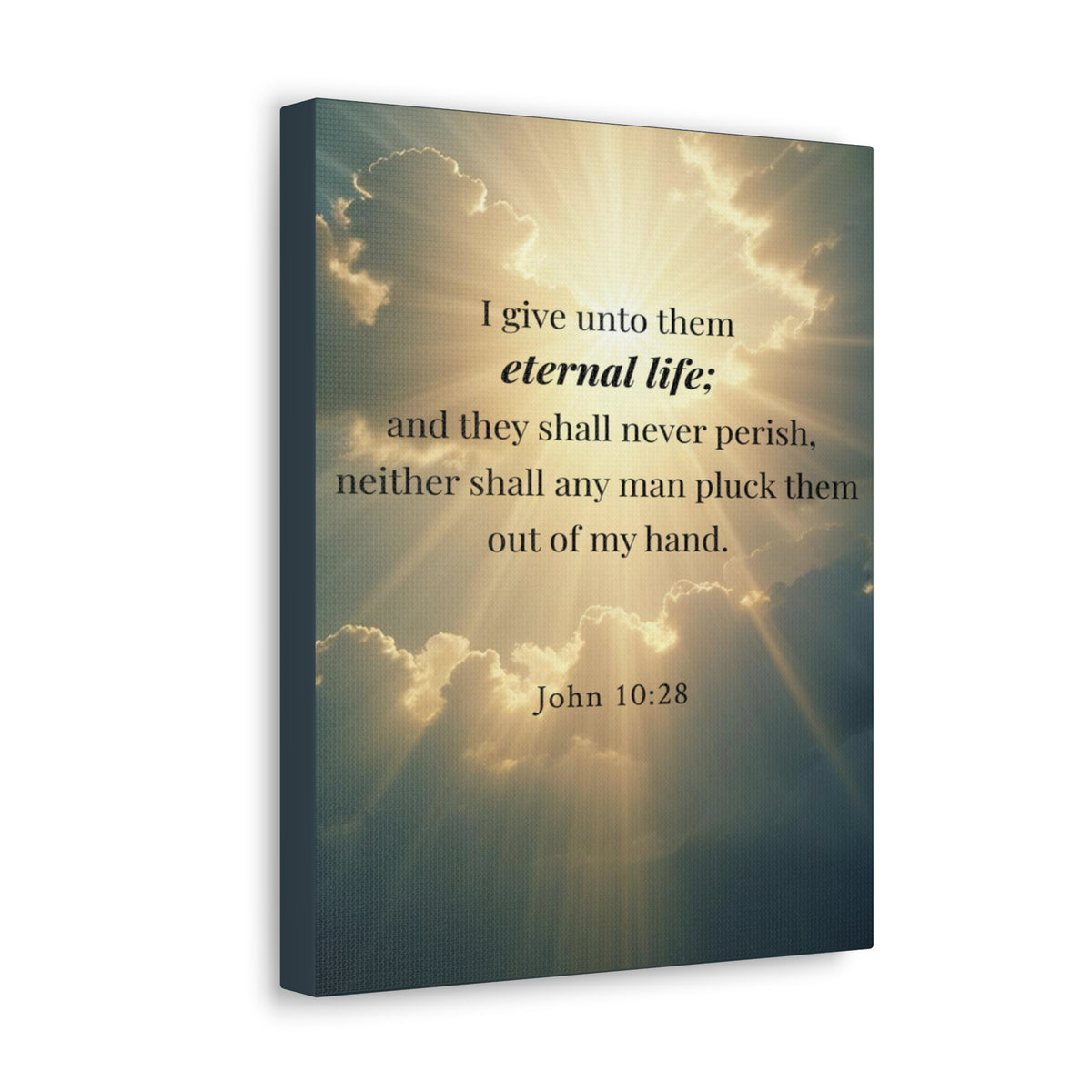 Scripture Walls John 10:28 Eternal Assurance Bible Verse Canvas Christian Wall Art Ready to Hang Unframed-Express Your Love Gifts