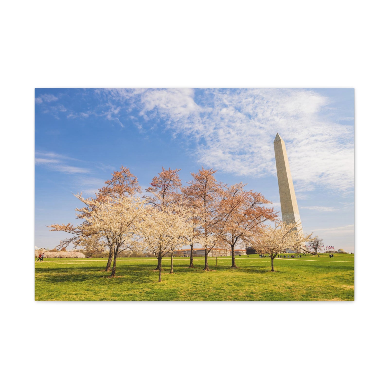 Pink Tree Cherry Blossom Festival at The National Mall Washington Modern Multicolor Scenic Nature Photography Canvas Home Office Decor Ready to Hang-Express Your Love Gifts
