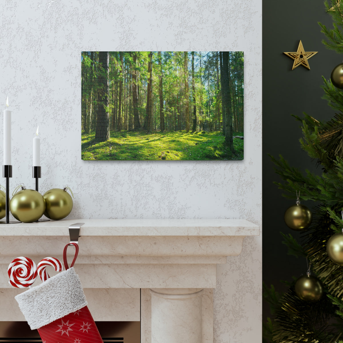 Sunlight Green Forest Tree Nature Wilderness Photography Canvas Wall Art for Home Decor Ready-to-Hang-Express Your Love Gifts