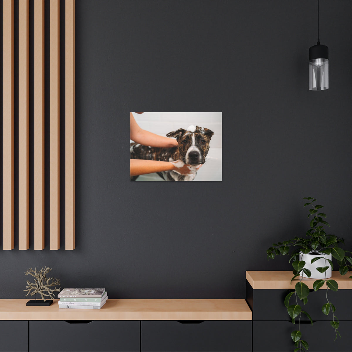 Cute American Staffordshire Terrier Bathee Canvas Wall Art for Home Decor Ready-to-Hang-Express Your Love Gifts