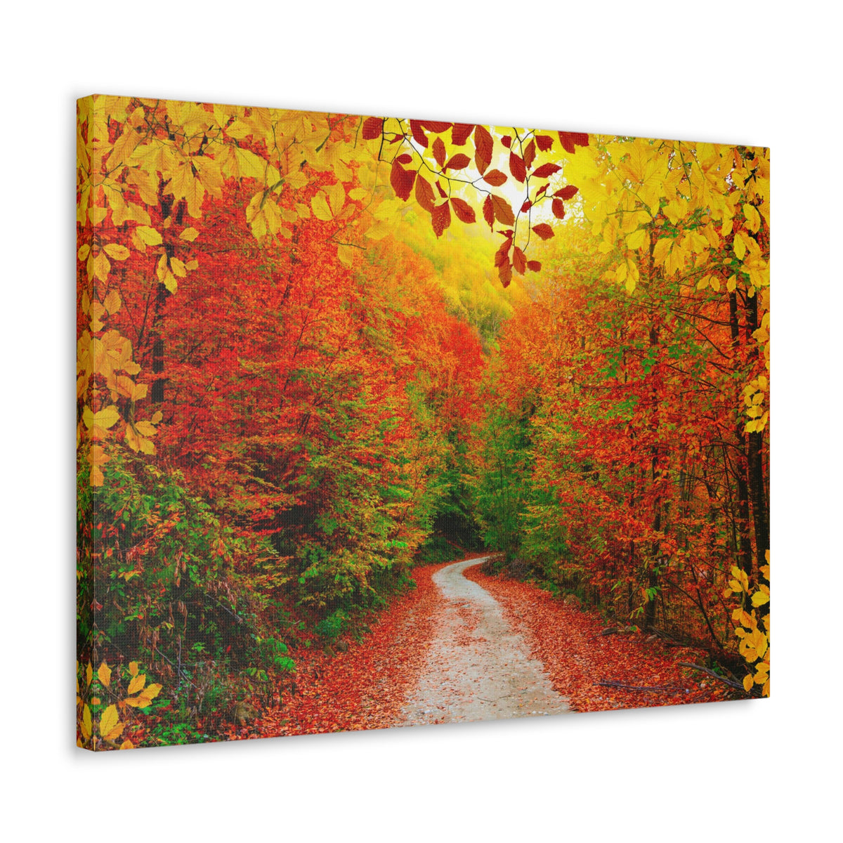Autumn Fall Orange Leaf Forest Tree Trail Nature Wilderness Photography Canvas Wall Art for Home Decor Ready-to-Hang-Express Your Love Gifts