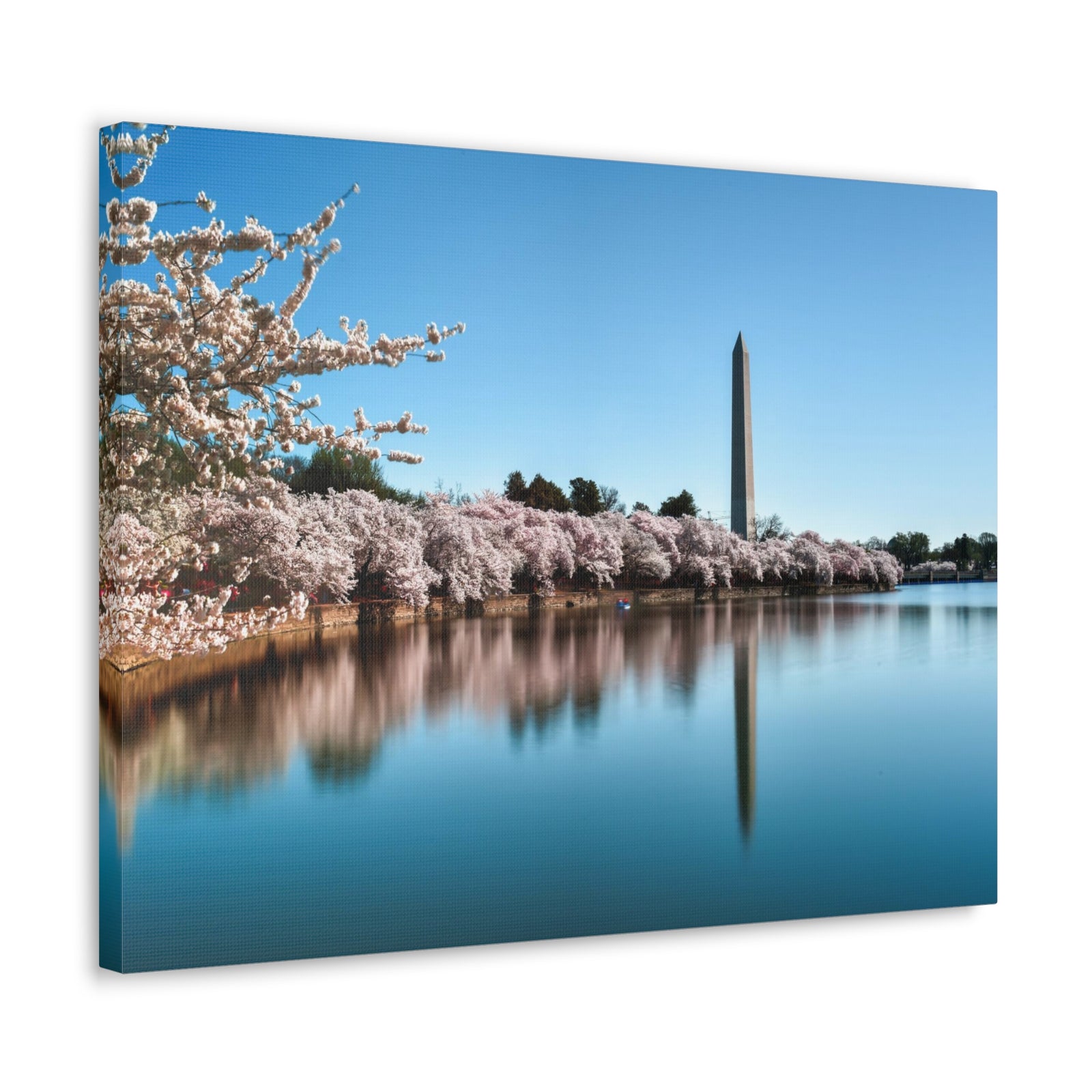 Cherry Blossom Festival at The National Mall Washington Modern Multicolor Scenic Nature Photography Canvas Home Office Decor Ready to Hang-Express Your Love Gifts