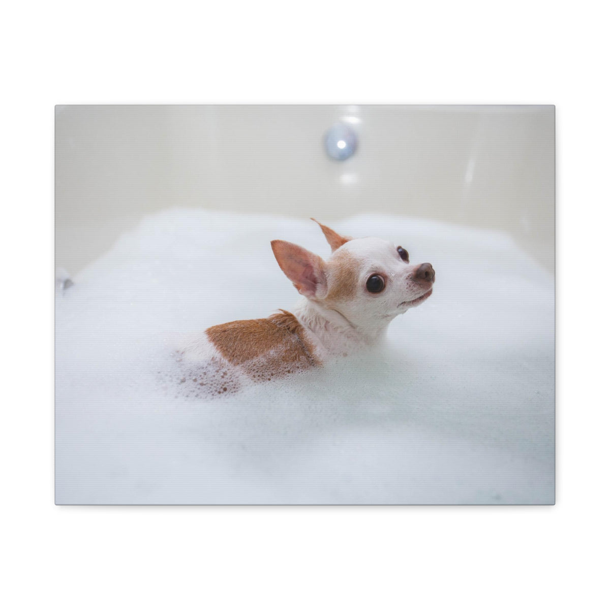 Cute Chihuahua Bathee Canvas Wall Art for Home Decor Ready-to-Hang-Express Your Love Gifts