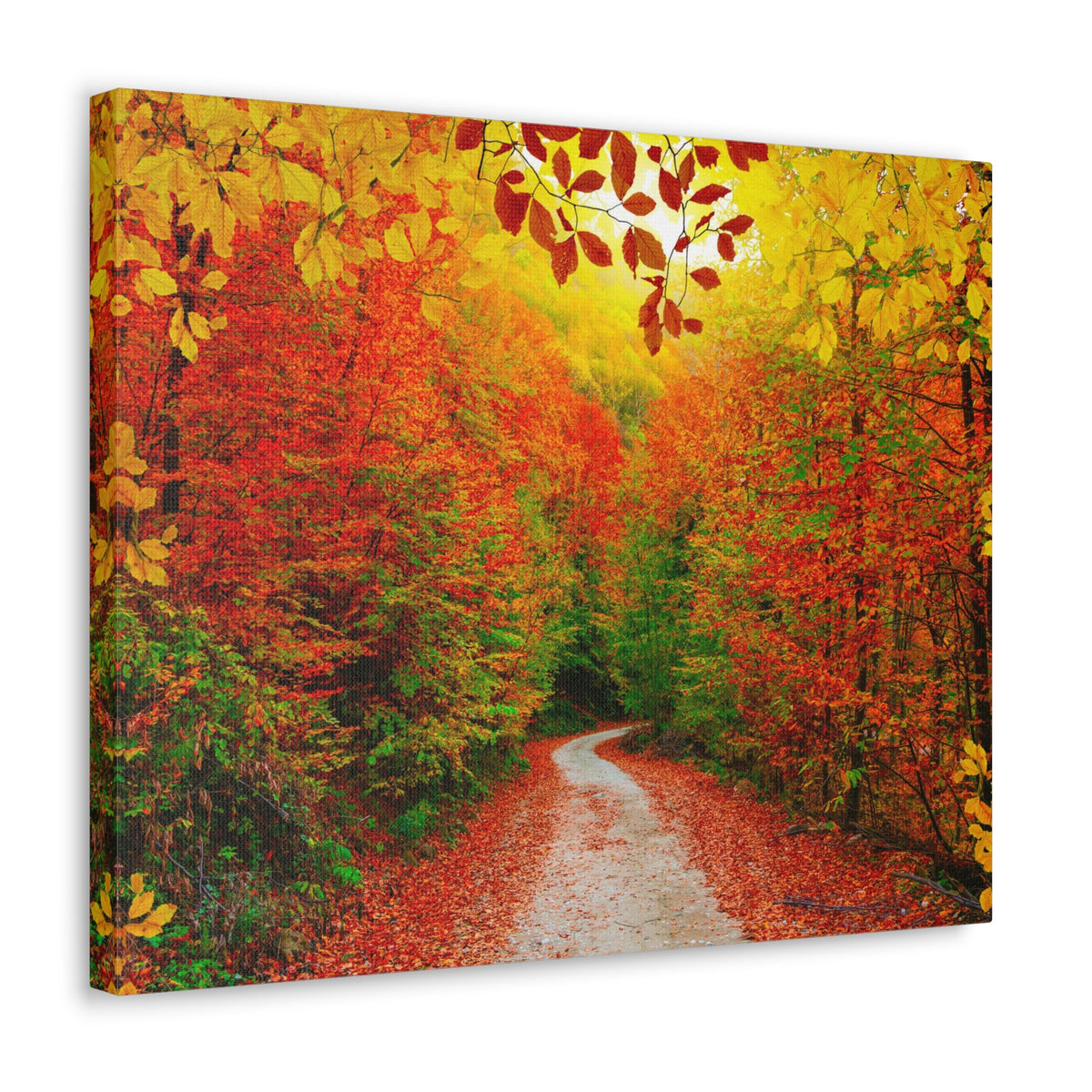 Autumn Fall Orange Leaf Forest Tree Trail Nature Wilderness Photography Canvas Wall Art for Home Decor Ready-to-Hang-Express Your Love Gifts