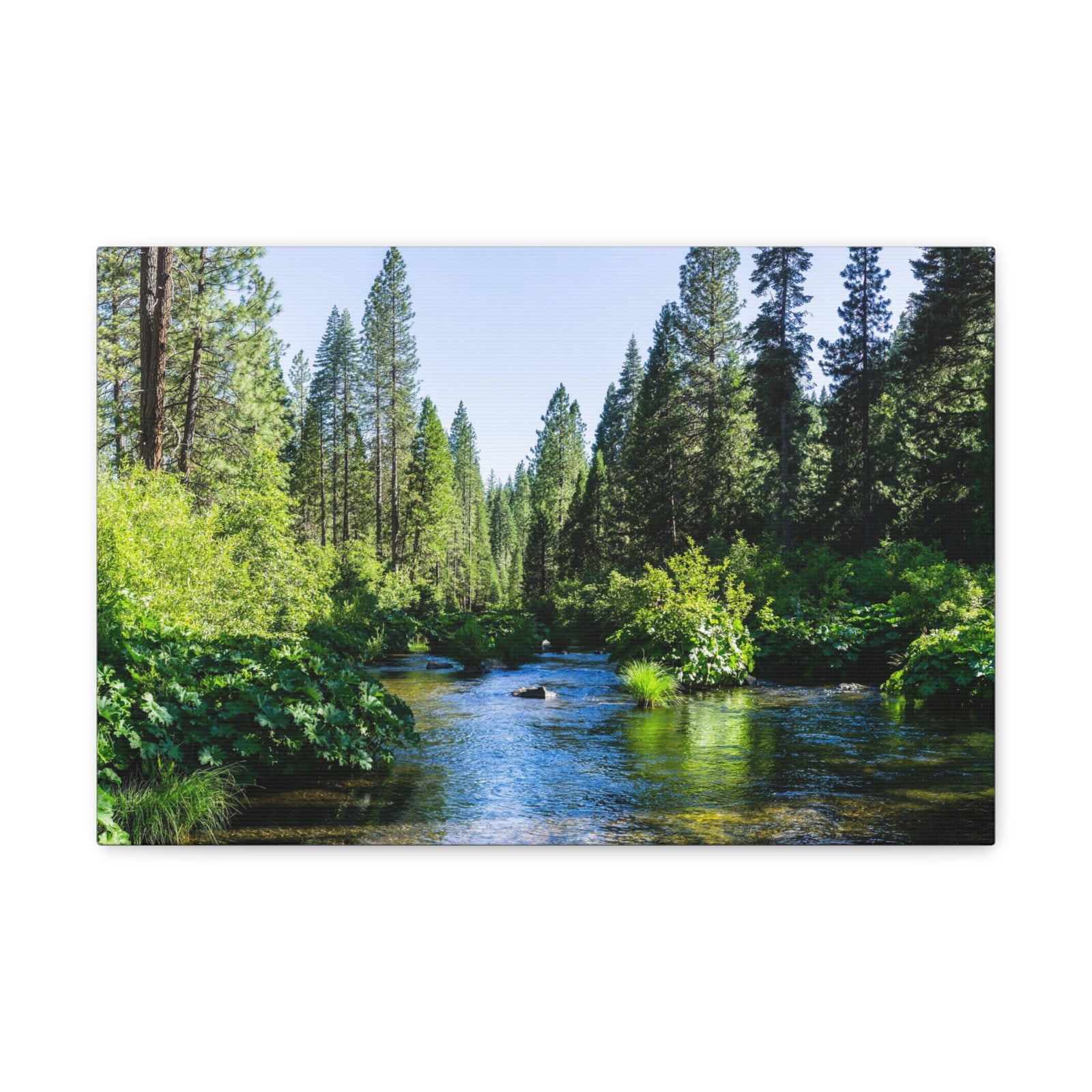 River Through The Green Forest Nature Wilderness Photography Canvas Wall Art for Home Decor Ready-to-Hang-Express Your Love Gifts