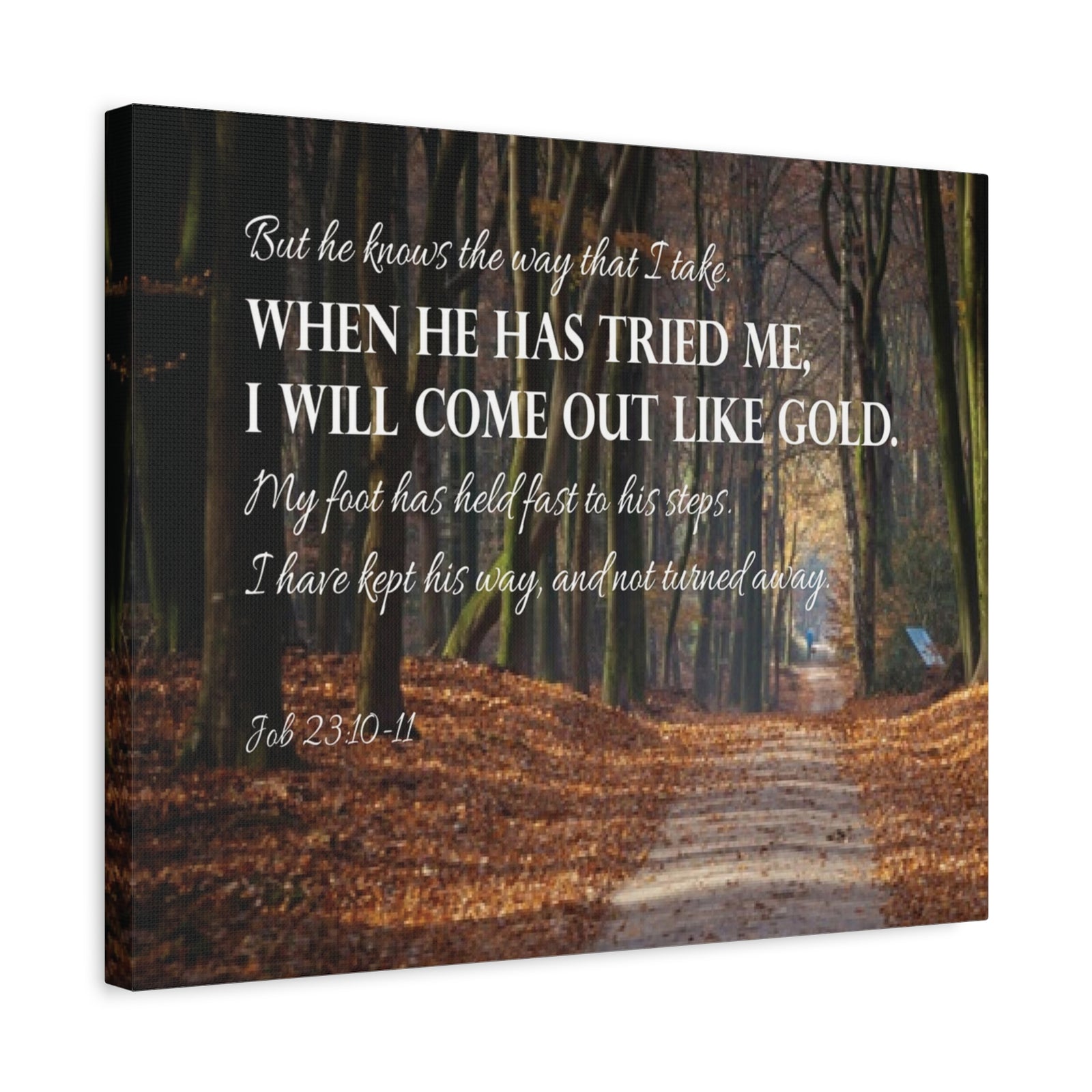 Bible Verse Canvas Come Out Like Gold Job 23:10-11 Scripture Wall Art Christian Home Decor-Express Your Love Gifts