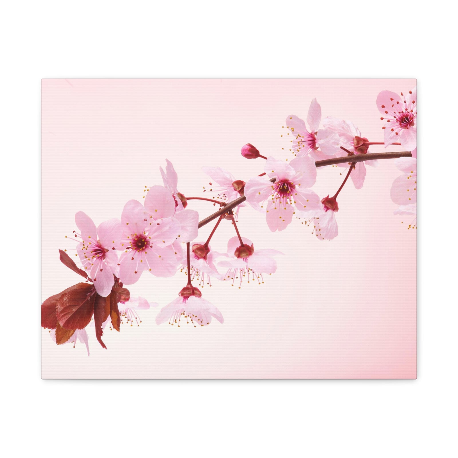 Single Cherry Blossom Forest Floral Nature Photography Canvas Wall Art for Home Decor Ready-to-Hang-Express Your Love Gifts