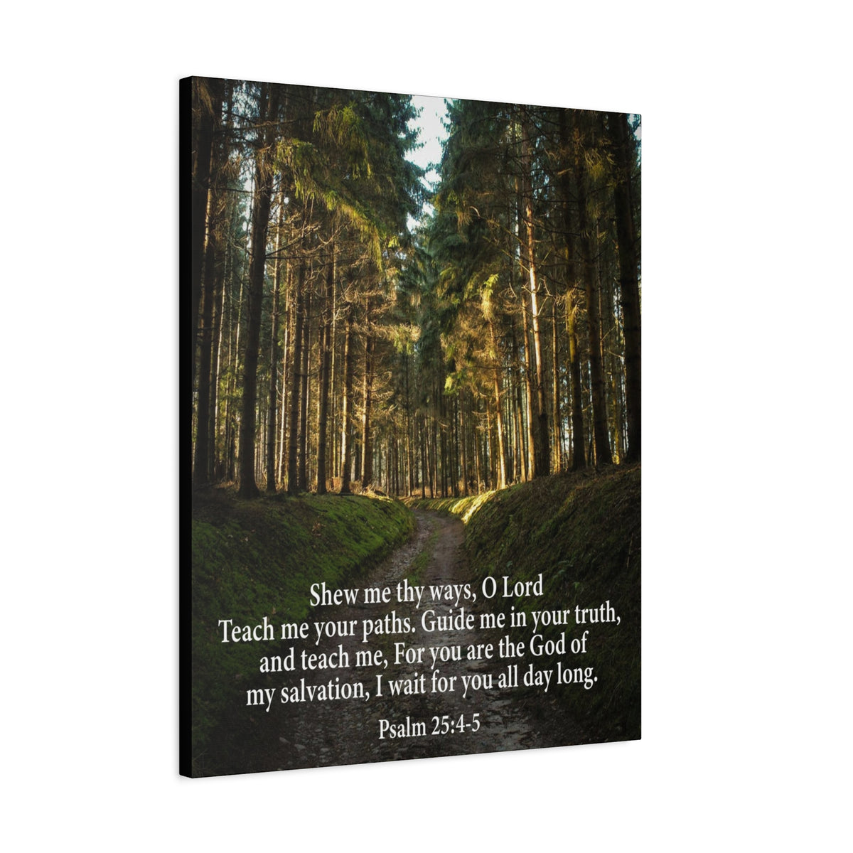 Scripture Canvas Baptism Psalm 25:4-5 Christian Wall Art Bible Verse Print Ready to Hang-Express Your Love Gifts