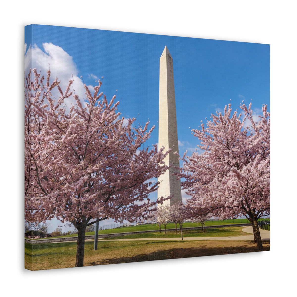 Mall Washington Blossom Festival Nature Wilderness Photography Canvas Wall Art for Home Decor Ready-to-Hang-Express Your Love Gifts