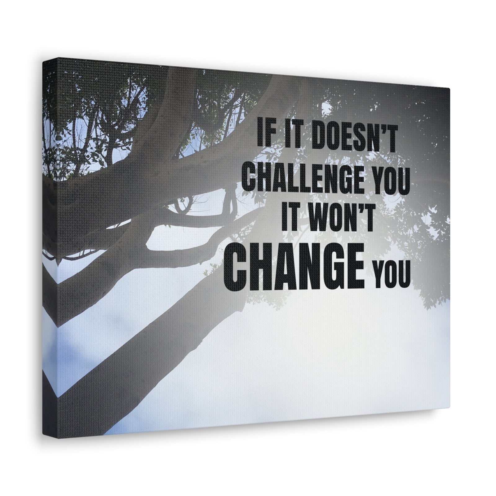 Inspirational Quote Canvas It Won't Change You Wall Art Motivational Motto Inspiring Prints Artwork Decor Ready to Hang-Express Your Love Gifts
