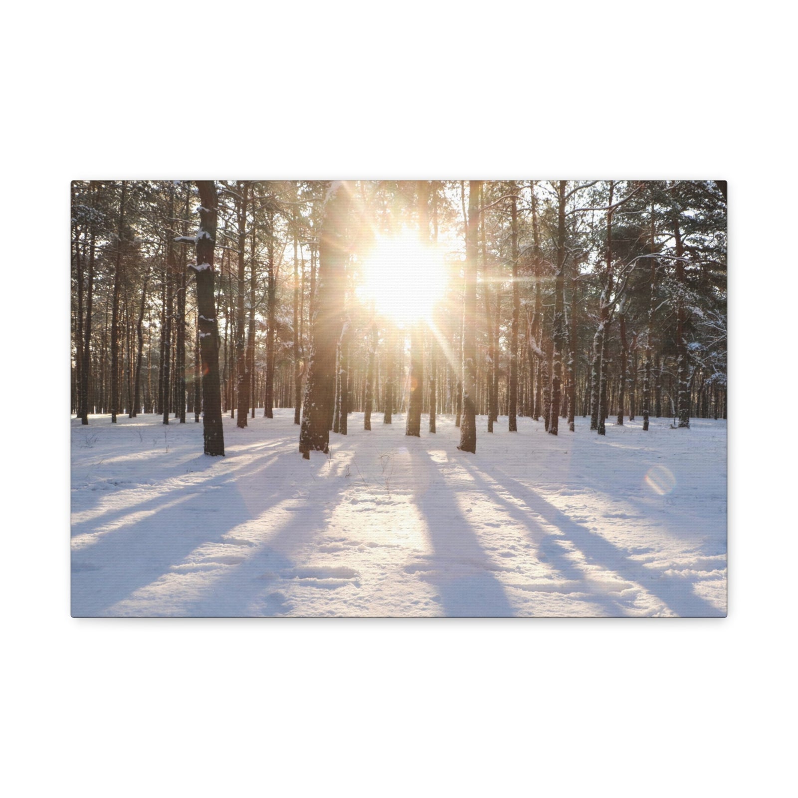 Tree Forest Covered In Snow Nature Wilderness Photography Canvas Wall Art for Home Decor Ready-to-Hang-Express Your Love Gifts