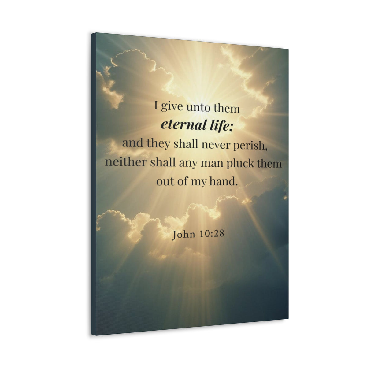 Scripture Walls John 10:28 Eternal Assurance Bible Verse Canvas Christian Wall Art Ready to Hang Unframed-Express Your Love Gifts