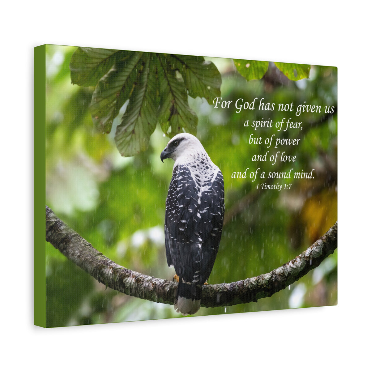 Scripture Canvas A Sound Mind 1 Timothy 1:7 Christian Wall Art Bible Verse Print Ready to Hang-Express Your Love Gifts