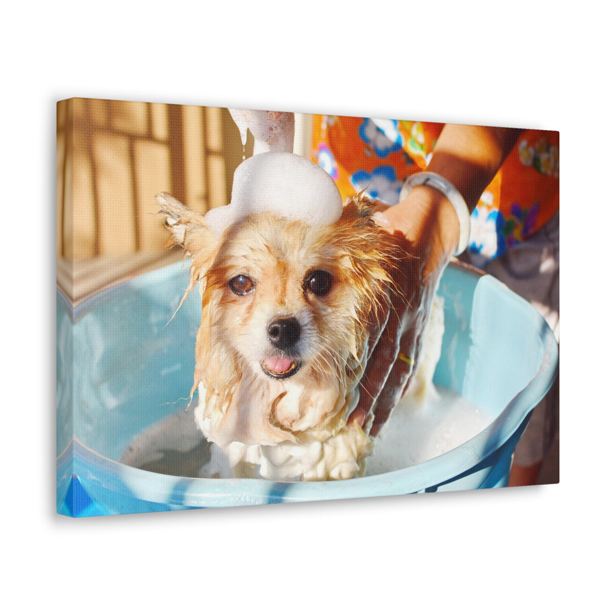 Cute Pomeranian Bathee Canvas Wall Art for Home Decor Ready-to-Hang-Express Your Love Gifts