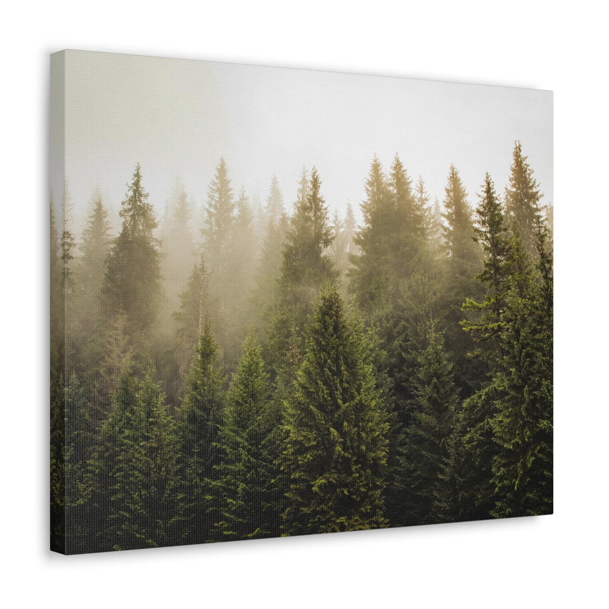 Misty Pine Tree Forest Nature Wilderness Photography Canvas Wall Art for Home Decor Ready-to-Hang-Express Your Love Gifts