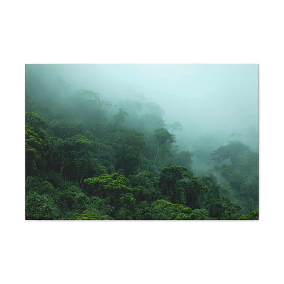 Dark Misty Forest Nature Wilderness Photography Canvas Wall Art for Home Decor Ready-to-Hang-Express Your Love Gifts