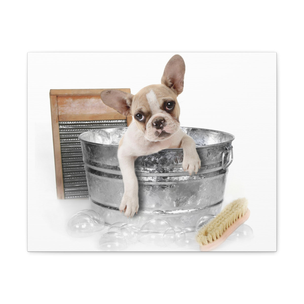 Cute French Bulldog Bath Canvas Wall Art for Home Decor Ready-to-Hang-Express Your Love Gifts