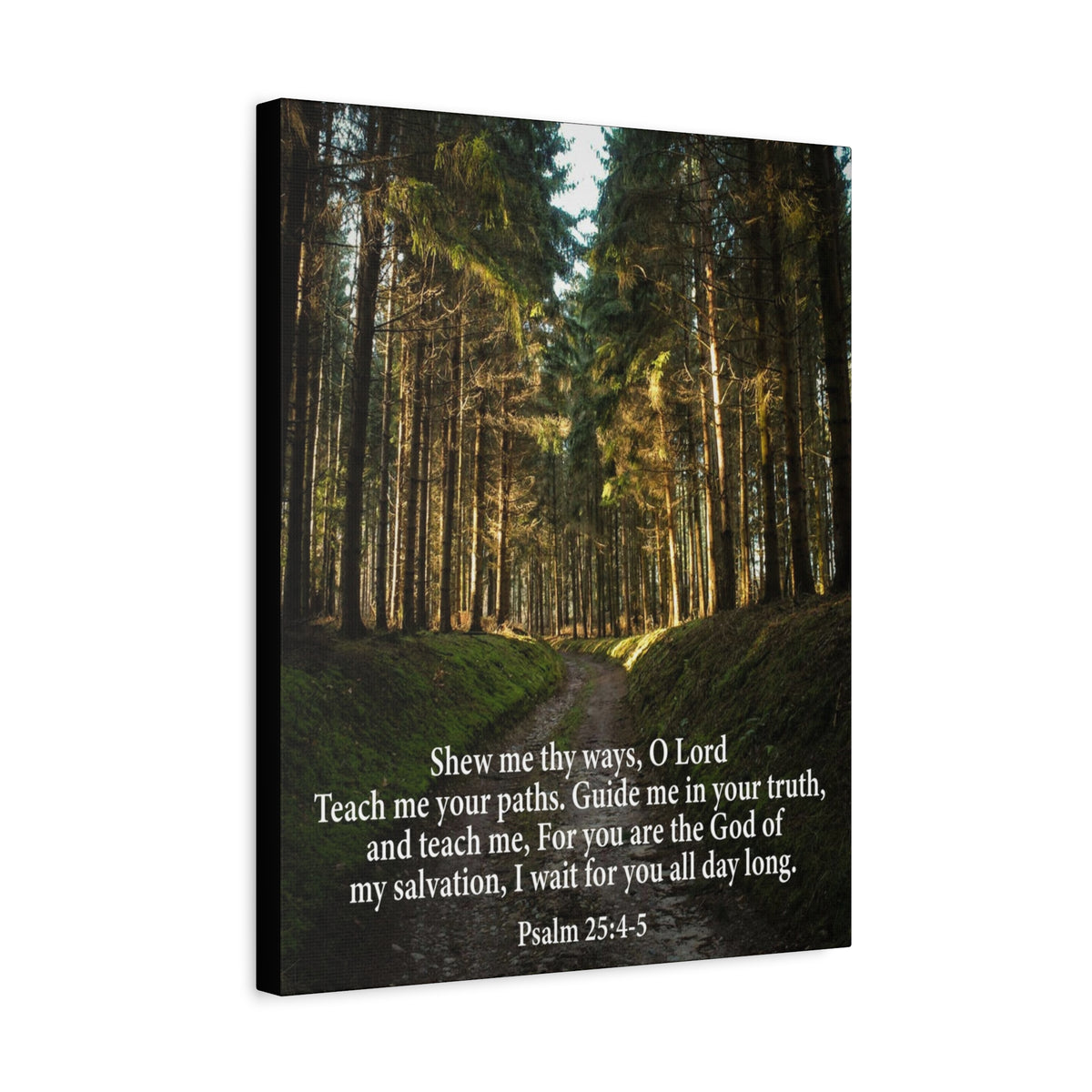 Scripture Canvas Baptism Psalm 25:4-5 Christian Wall Art Bible Verse Print Ready to Hang-Express Your Love Gifts