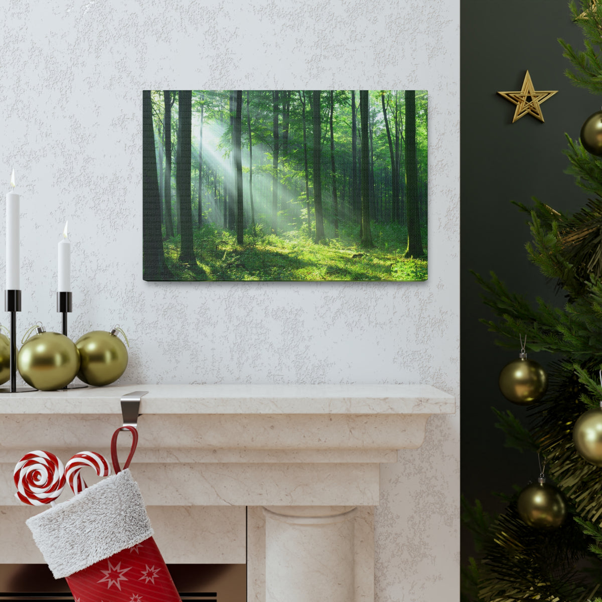 Green Forest Sunlight Nature Wilderness Photography Canvas Wall Art for Home Decor Ready-to-Hang-Express Your Love Gifts