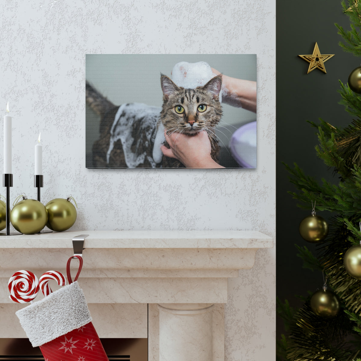 Cute Gray Cat Bath Canvas Wall Art for Home Decor Ready-to-Hang-Express Your Love Gifts