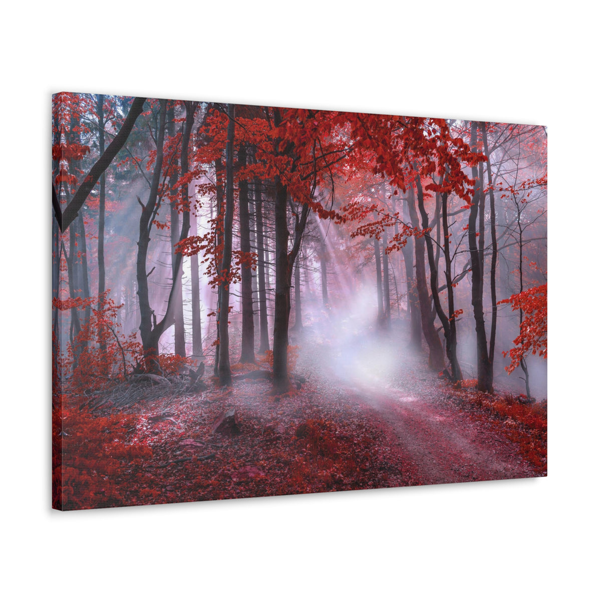 Foggy Autumn Forest Orange Leaves Nature Wilderness Photography Canvas Wall Art for Home Decor Ready-to-Hang-Express Your Love Gifts