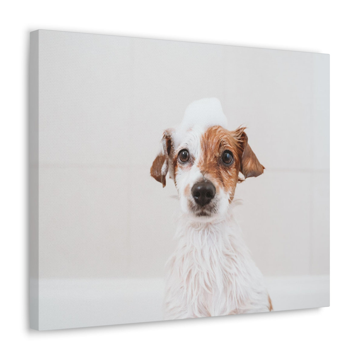 Cute Jack Russell Terrier Bathee Canvas Wall Art for Home Decor Ready-to-Hang-Express Your Love Gifts