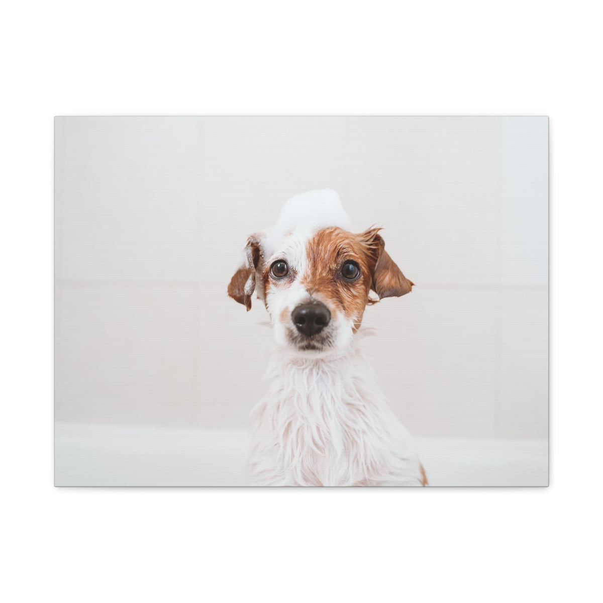 Cute Jack Russell Terrier Bathee Canvas Wall Art for Home Decor Ready-to-Hang-Express Your Love Gifts