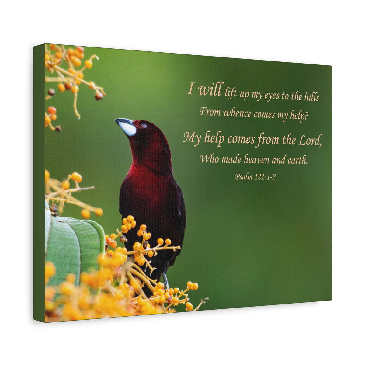 Scripture Walls Psalm 121:1-2 Heaven and Earth Bible Verse Canvas Christian Wall Art Ready to Hang Unframed-Express Your Love Gifts