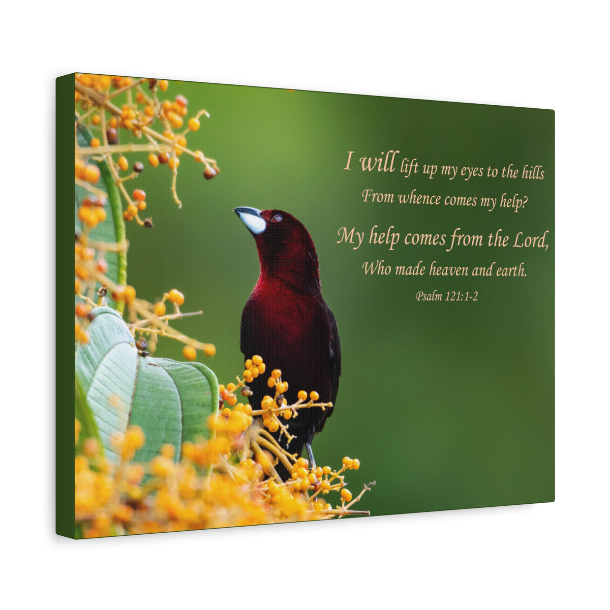 Scripture Canvas Comes From The Lord Psalm 121:1-2 Christian Wall Art Bible Verse Print Ready to Hang-Express Your Love Gifts