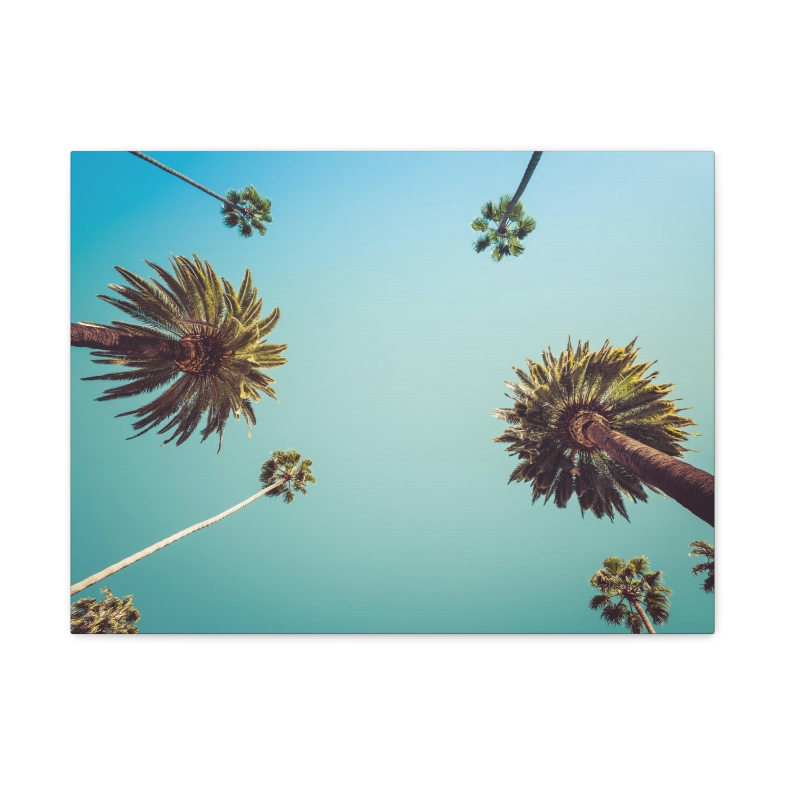 Los Angeles Palm Trees Modern Multicolor Scenic Nature Photography Canvas Home Office Decor Ready to Hang-Express Your Love Gifts