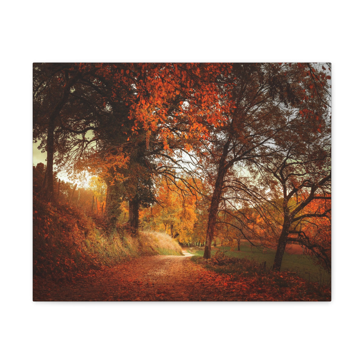 Autumn Park Orange Tree Nature Wilderness Photography Canvas Wall Art for Home Decor Ready-to-Hang-Express Your Love Gifts