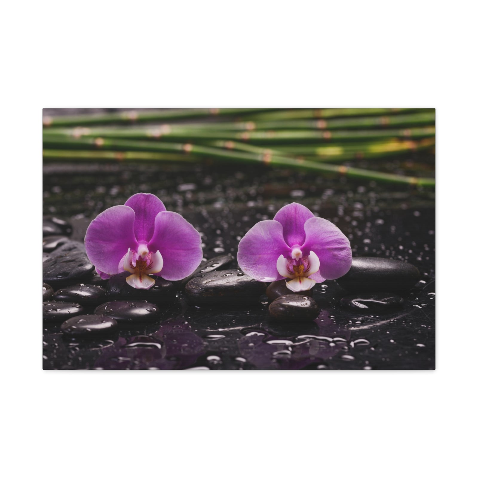 Two Pink Orchid Forest Floral Nature Photography Canvas Wall Art for Home Decor Ready-to-Hang-Express Your Love Gifts