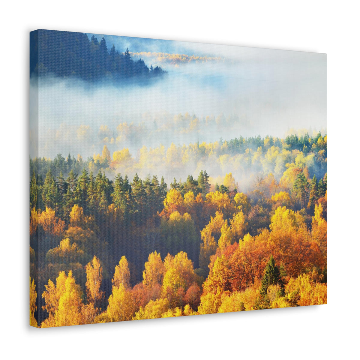 Forest Mystic Autumn Nature Wilderness Photography Canvas Wall Art for Home Decor Ready-to-Hang-Express Your Love Gifts