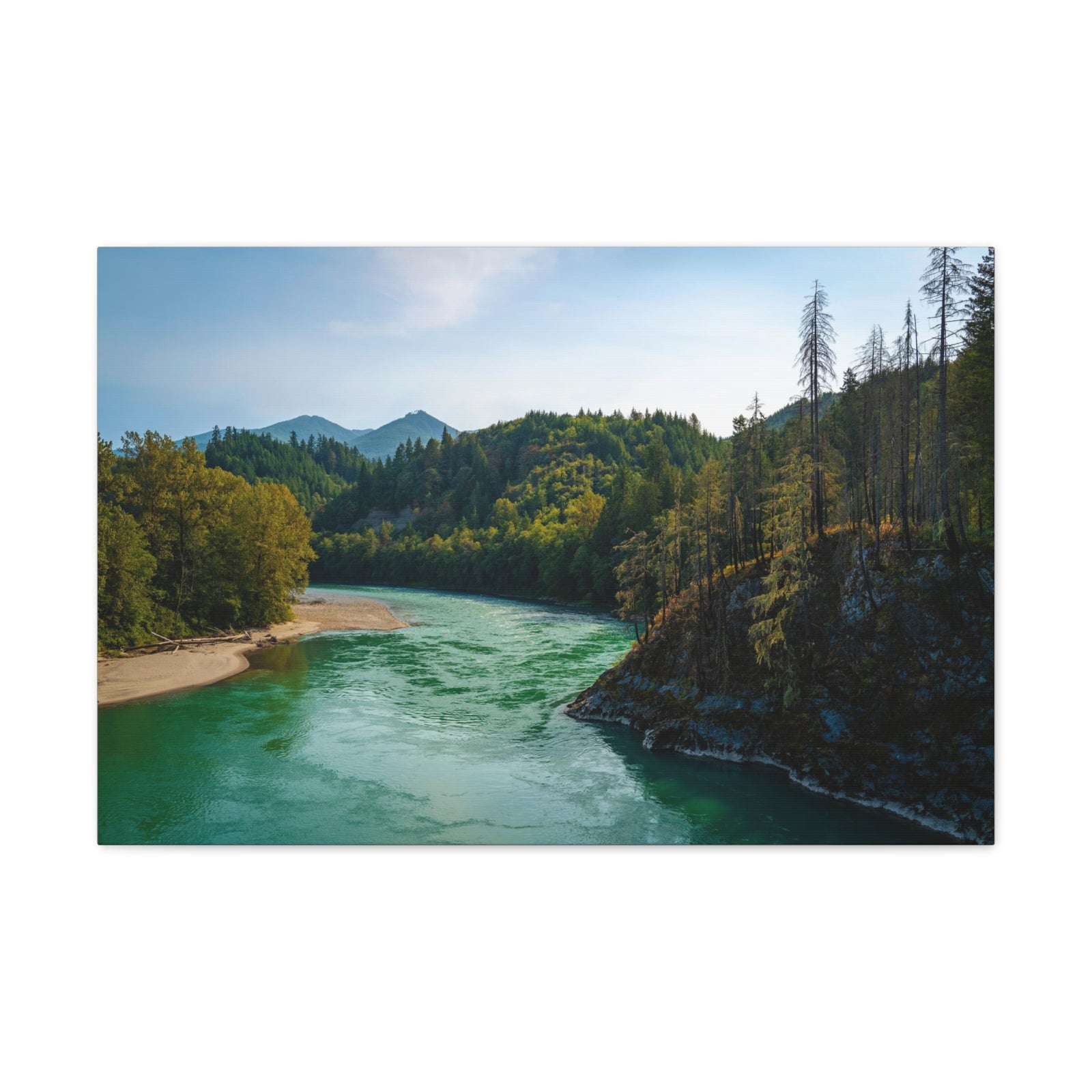 River Through Pine Tree Green Forest Nature Wilderness Photography Canvas Wall Art for Home Decor Ready-to-Hang-Express Your Love Gifts