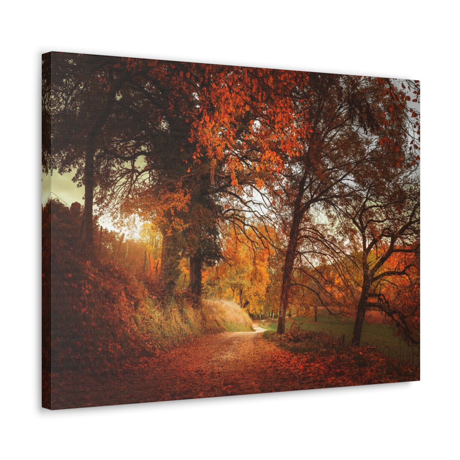 Autumn Park Orange Tree Nature Wilderness Photography Canvas Wall Art for Home Decor Ready-to-Hang-Express Your Love Gifts