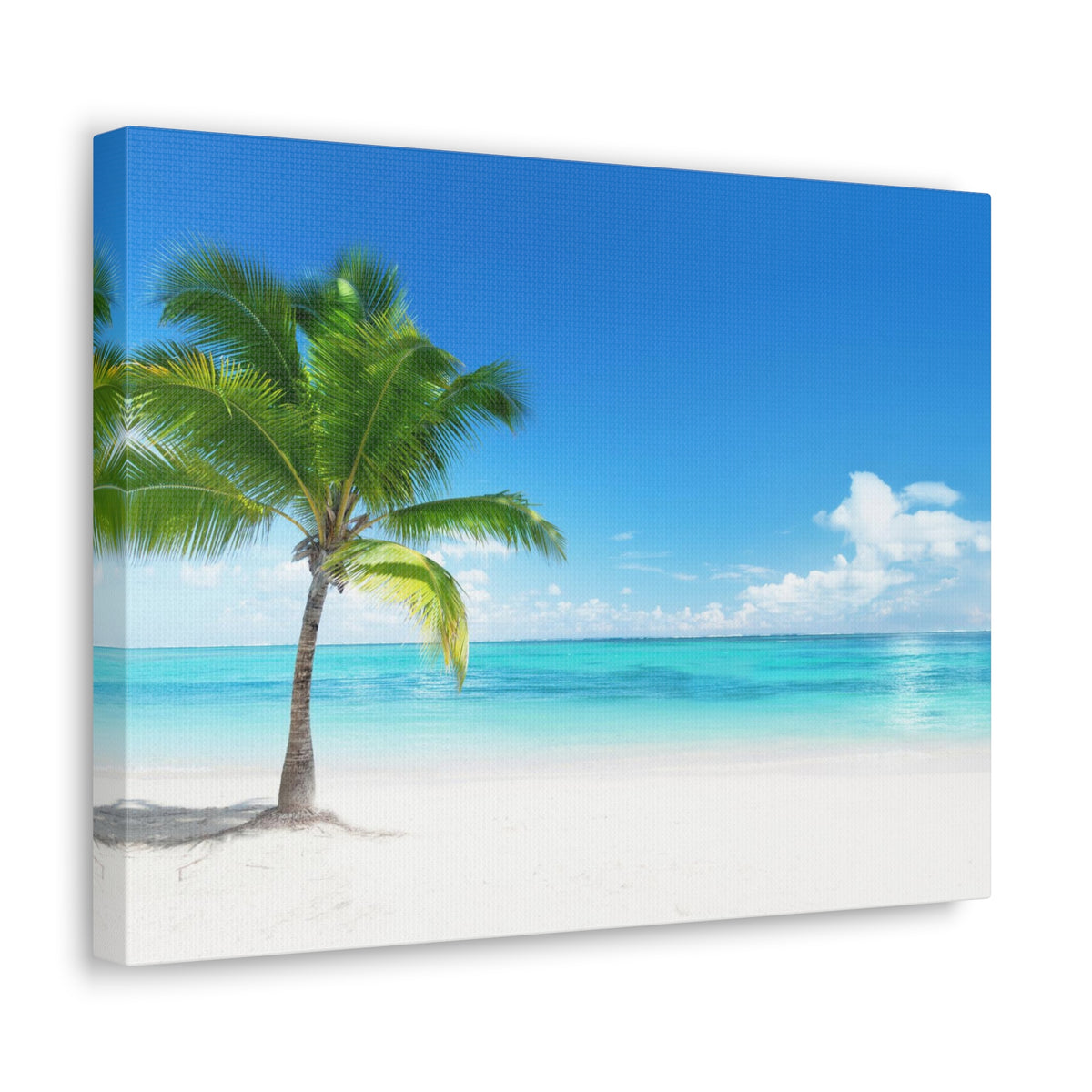 Palm on the beach in Daylight Ocean Canvas Wall Art for Home Decor Ready-to-Hang-Express Your Love Gifts