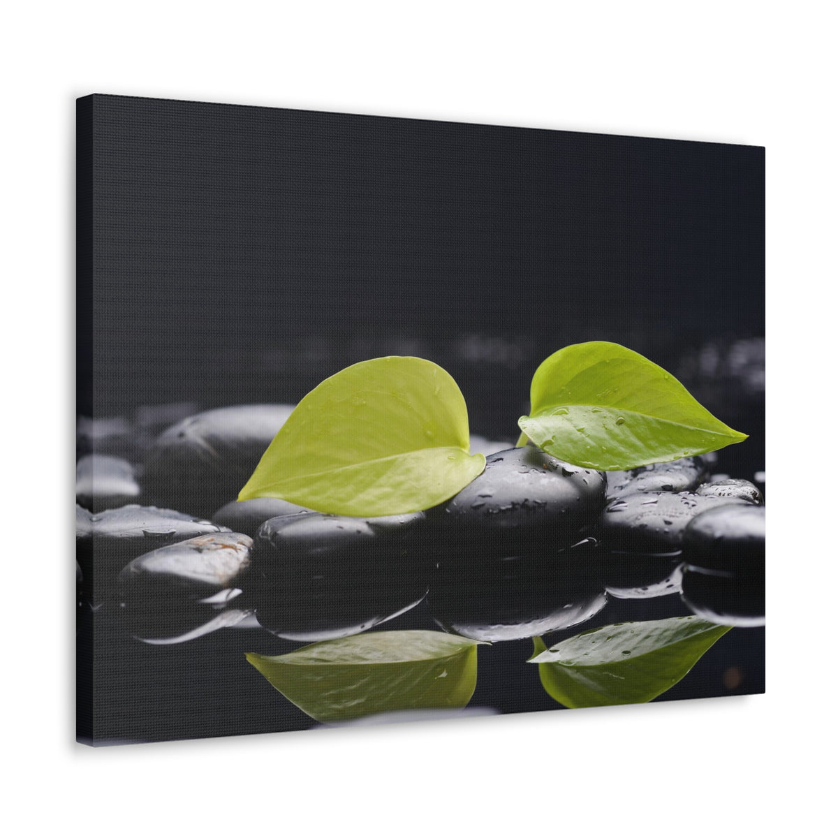 Green Leaf with Stones Forest Floral Nature Photography Canvas Wall Art for Home Decor Ready-to-Hang-Express Your Love Gifts