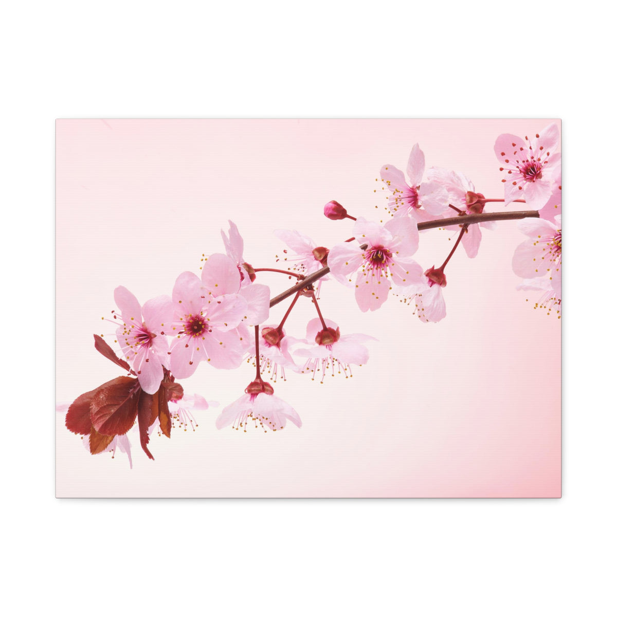 Single Cherry Blossom Forest Floral Nature Photography Canvas Wall Art for Home Decor Ready-to-Hang-Express Your Love Gifts