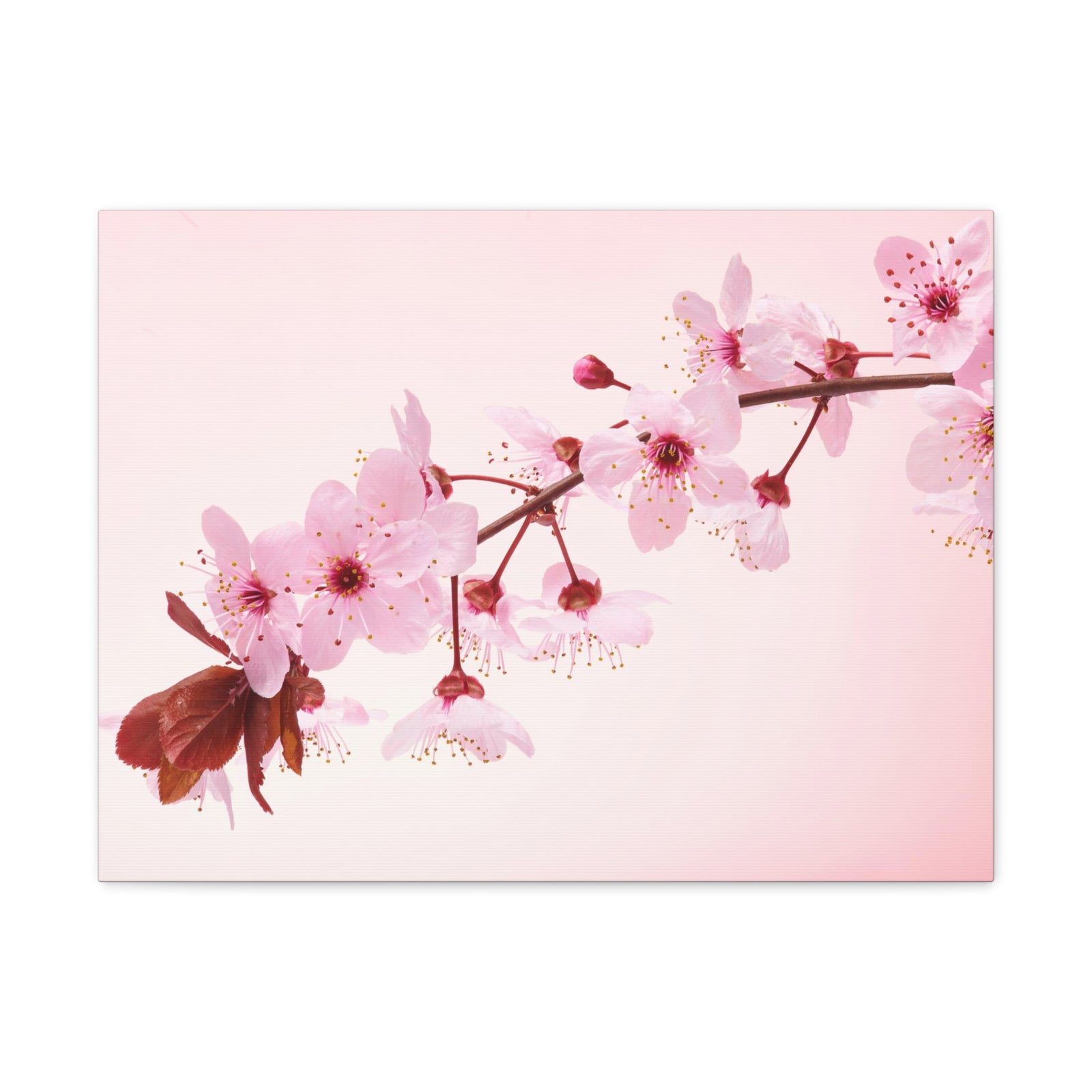 Single Cherry Blossom Forest Floral Nature Photography Canvas Wall Art for Home Decor Ready-to-Hang-Express Your Love Gifts