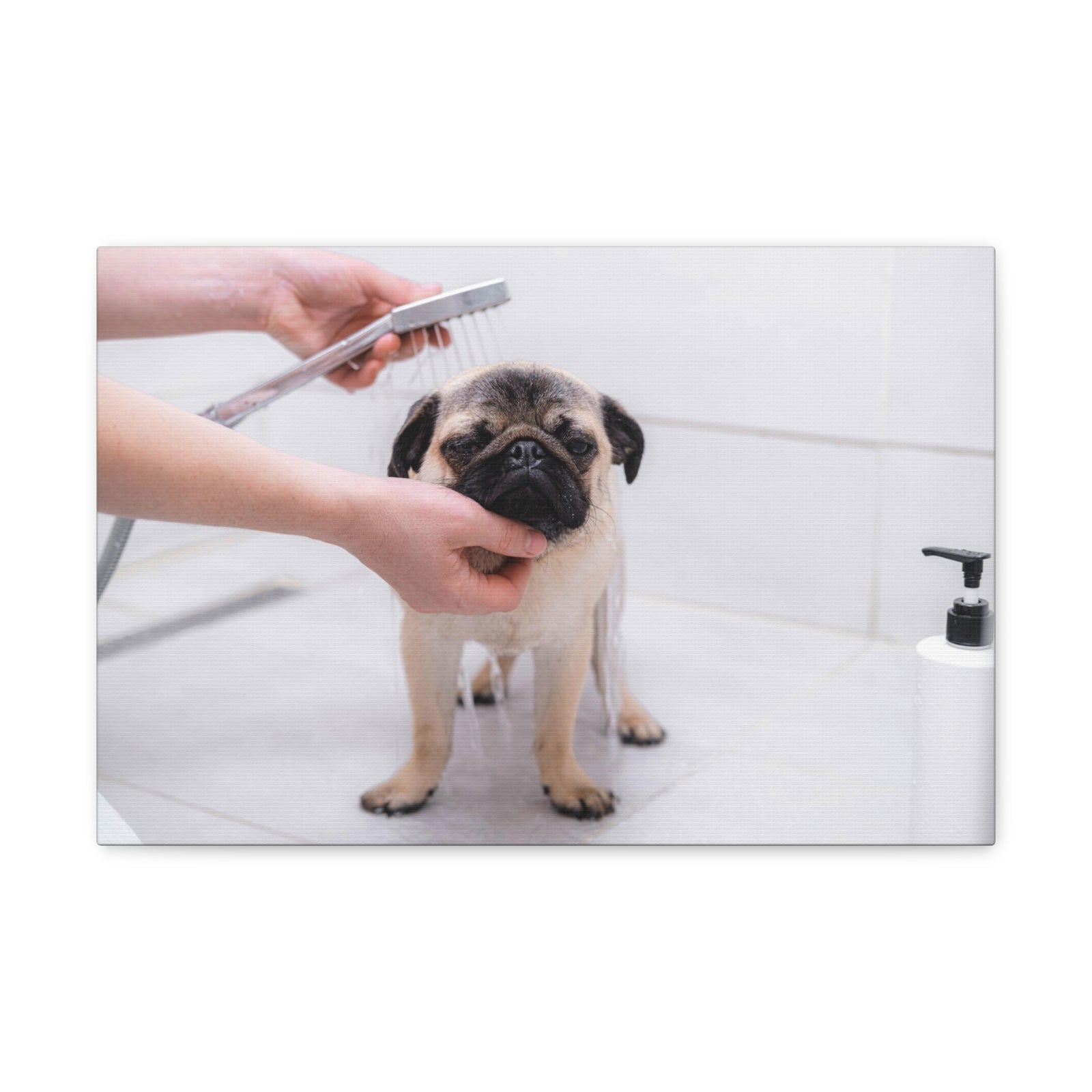 Cute Pug Bathee Canvas Wall Art for Home Decor Ready-to-Hang-Express Your Love Gifts
