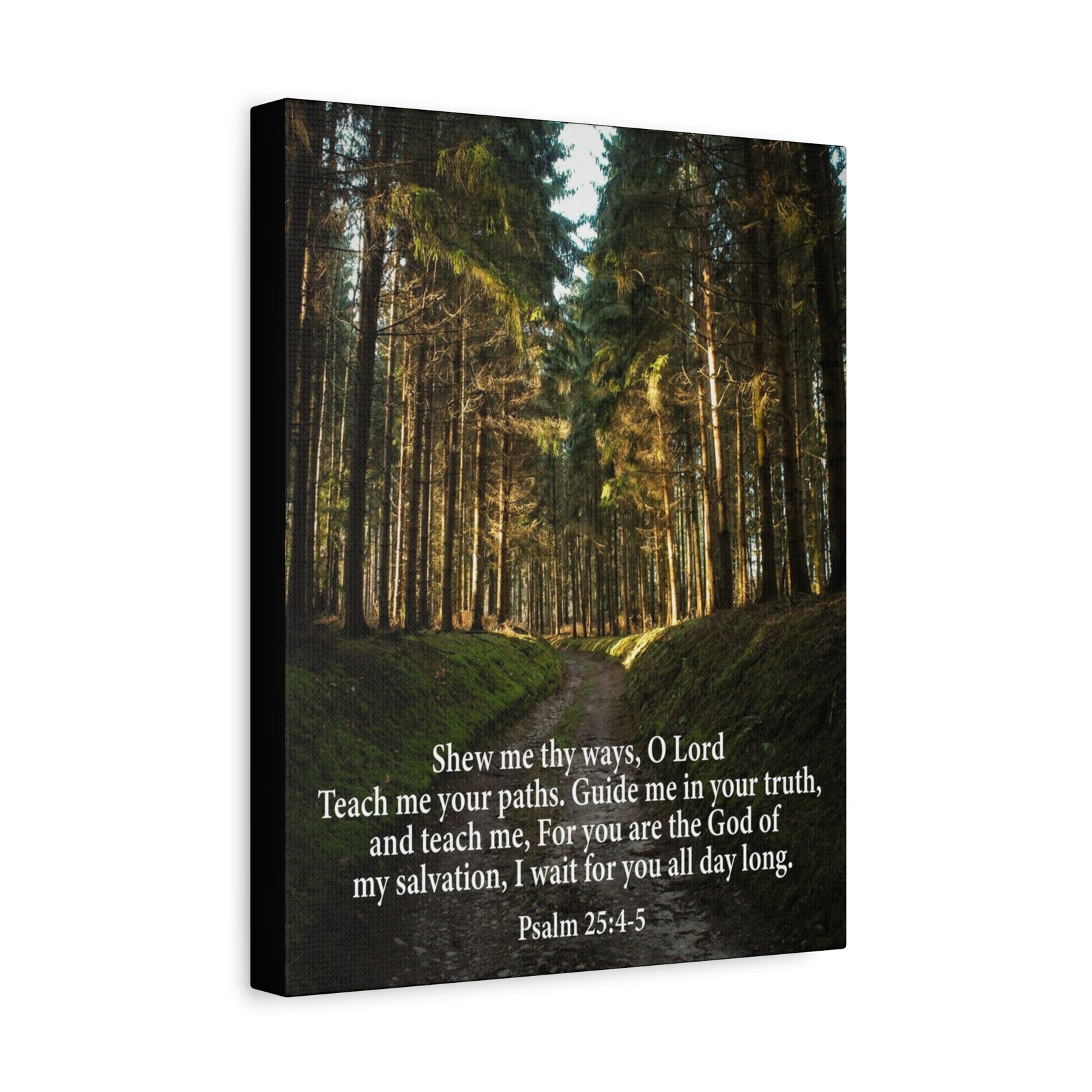 Scripture Canvas Baptism Psalm 25:4-5 Christian Wall Art Bible Verse Print Ready to Hang-Express Your Love Gifts