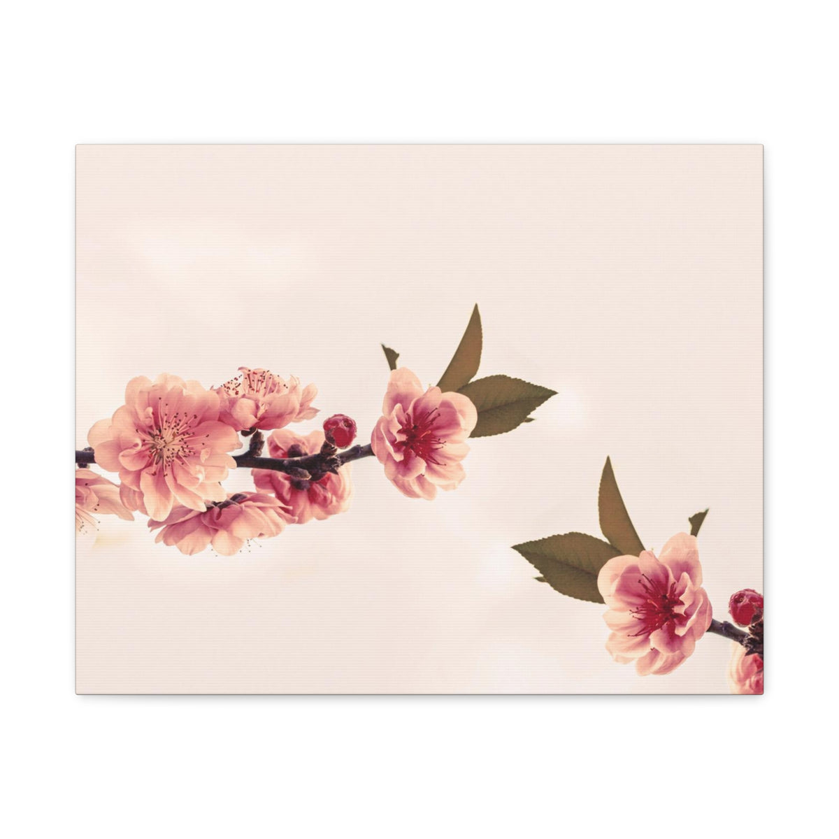 Peach Blossoms with Space Forest Floral Nature Photography Canvas Wall Art for Home Decor Ready-to-Hang-Express Your Love Gifts