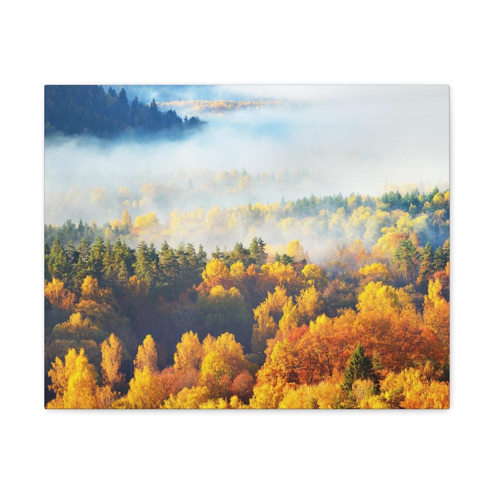 Forest Mystic Autumn Nature Wilderness Photography Canvas Wall Art for Home Decor Ready-to-Hang-Express Your Love Gifts