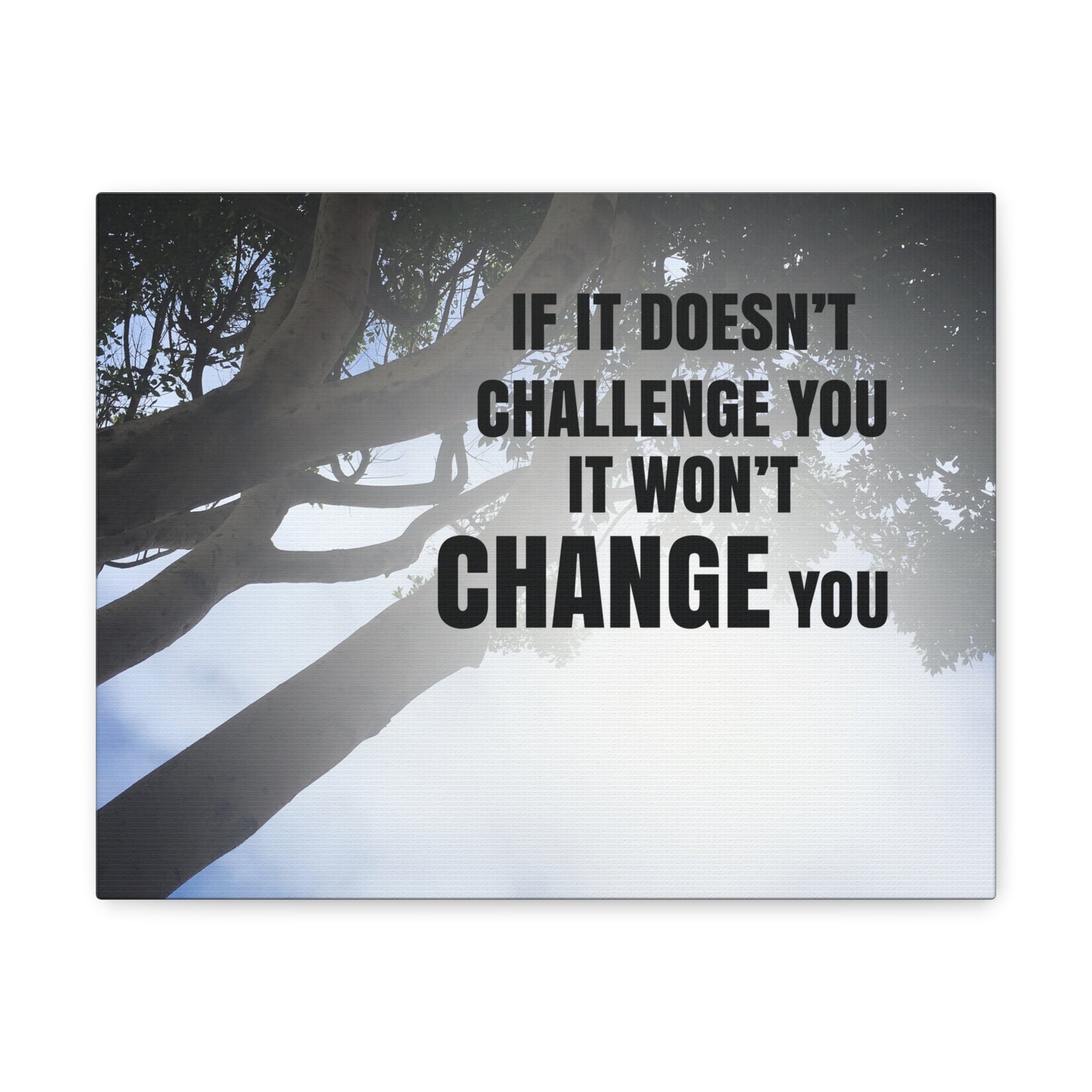 Inspirational Quote Canvas It Won't Change You Wall Art Motivational Motto Inspiring Prints Artwork Decor Ready to Hang-Express Your Love Gifts