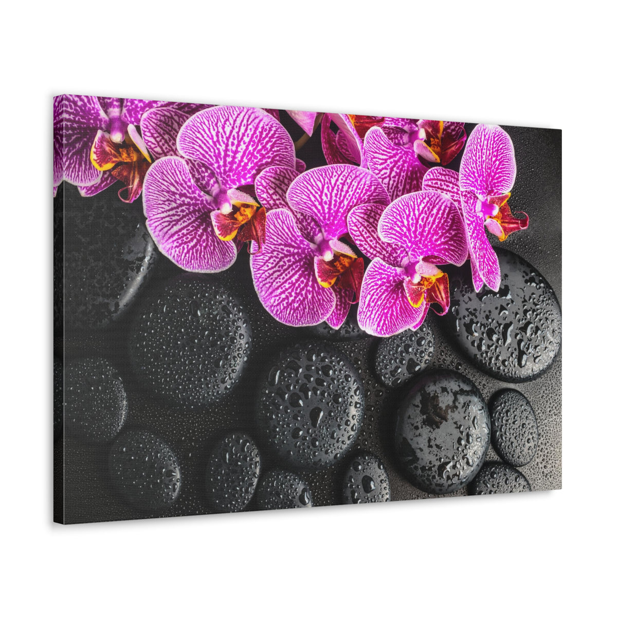 Violet Orchid on Stones Forest Floral Nature Photography Canvas Wall Art for Home Decor Ready-to-Hang-Express Your Love Gifts